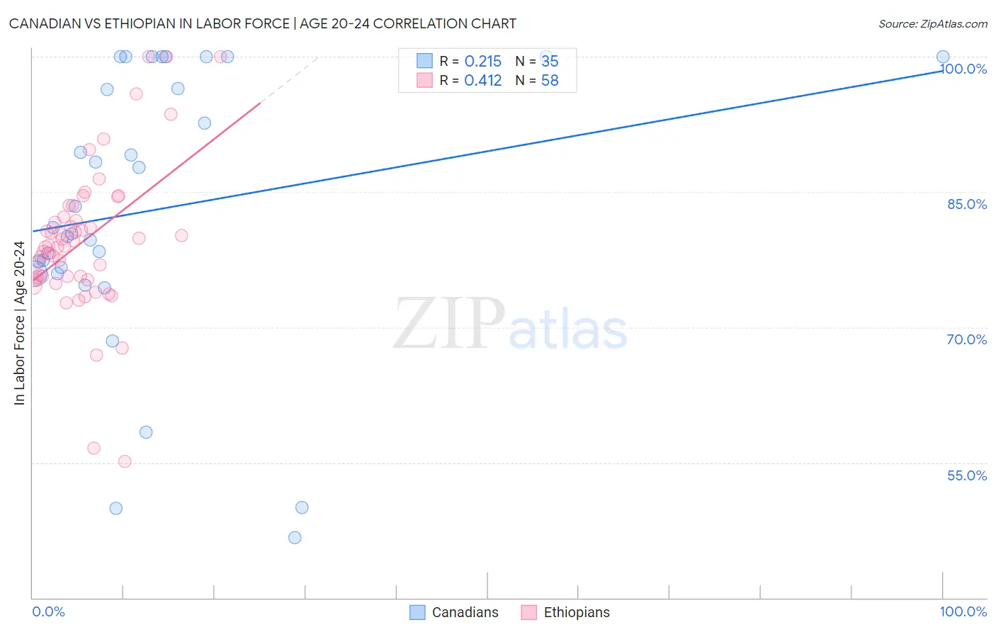 Canadian vs Ethiopian In Labor Force | Age 20-24