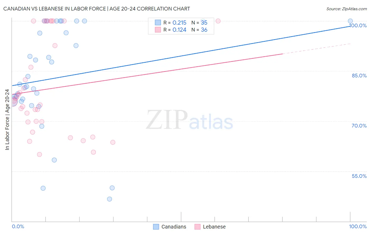 Canadian vs Lebanese In Labor Force | Age 20-24