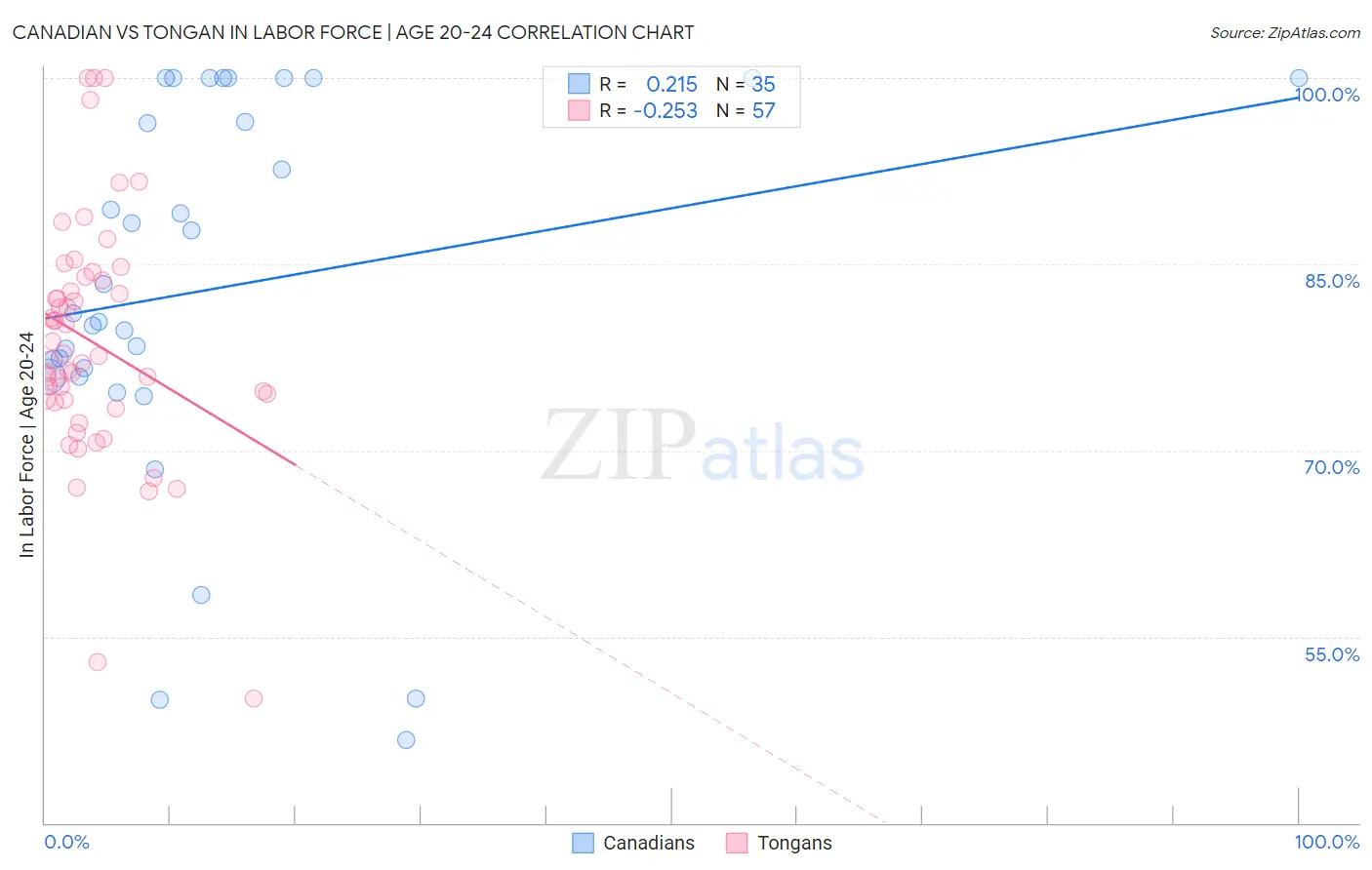 Canadian vs Tongan In Labor Force | Age 20-24