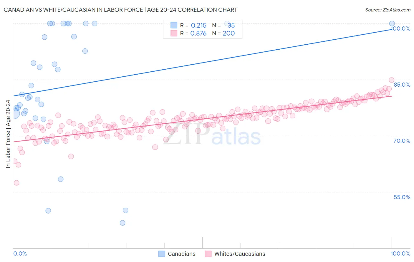 Canadian vs White/Caucasian In Labor Force | Age 20-24