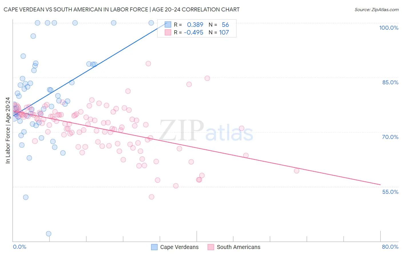 Cape Verdean vs South American In Labor Force | Age 20-24