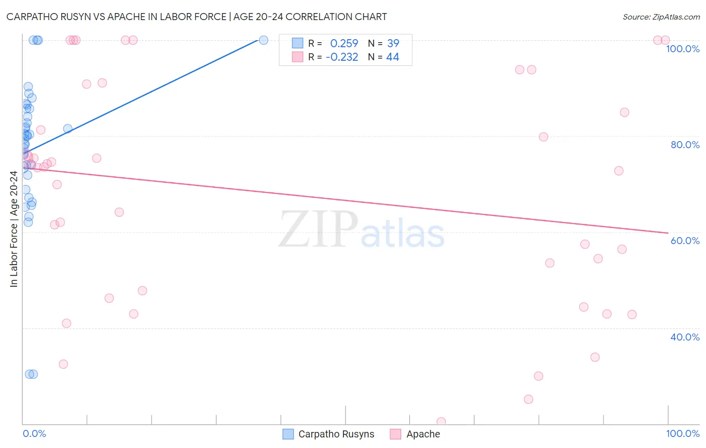 Carpatho Rusyn vs Apache In Labor Force | Age 20-24