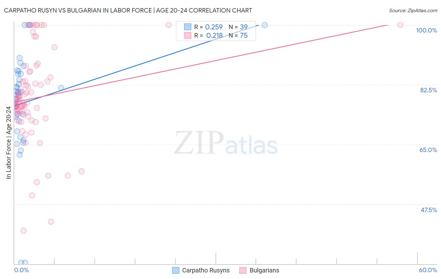 Carpatho Rusyn vs Bulgarian In Labor Force | Age 20-24