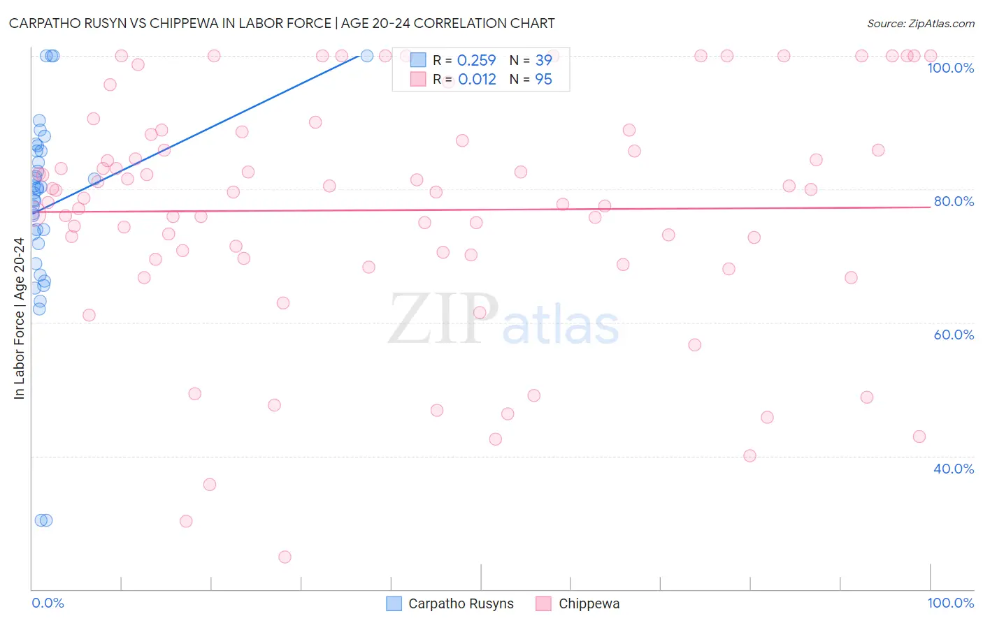 Carpatho Rusyn vs Chippewa In Labor Force | Age 20-24