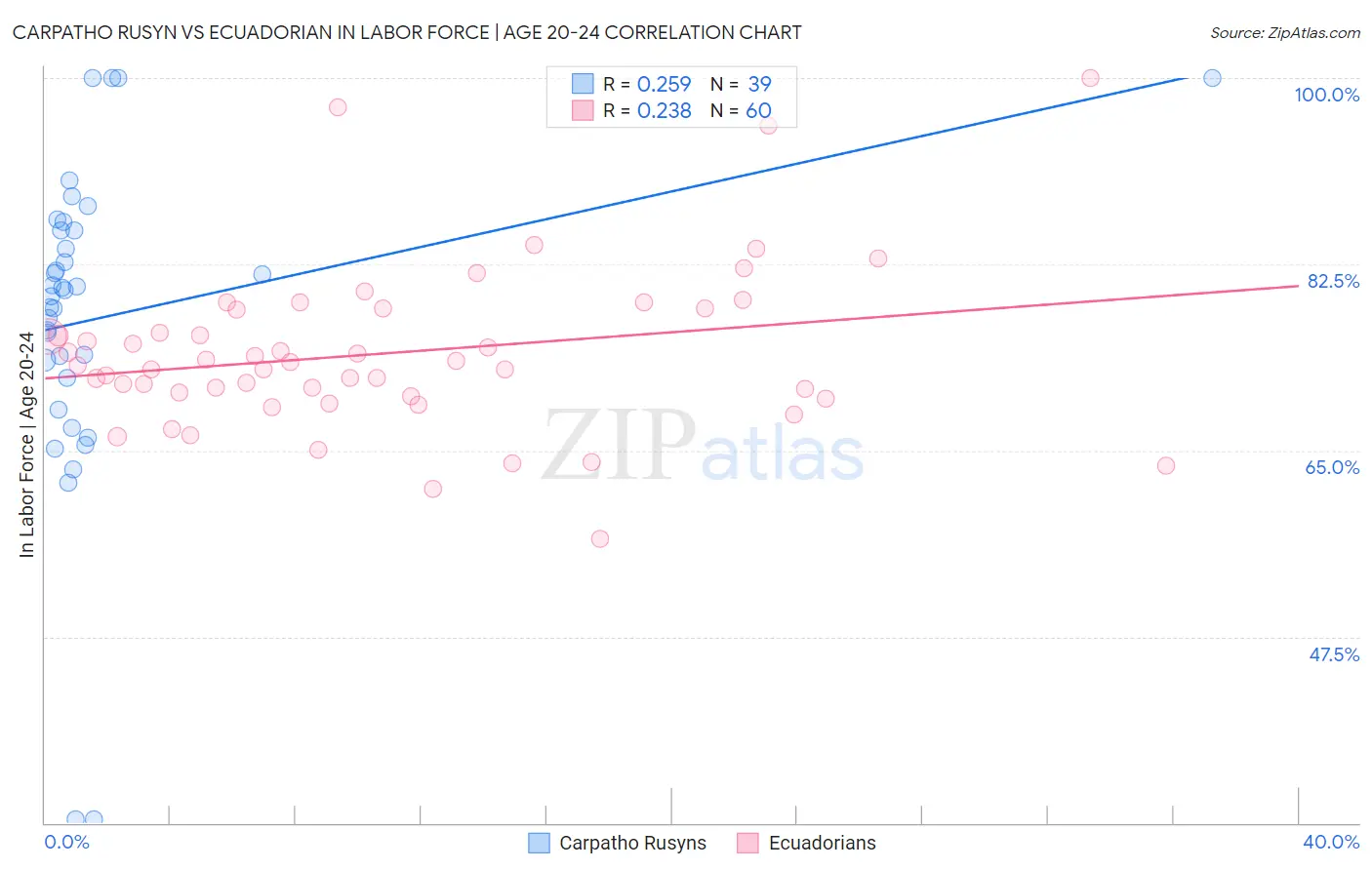 Carpatho Rusyn vs Ecuadorian In Labor Force | Age 20-24