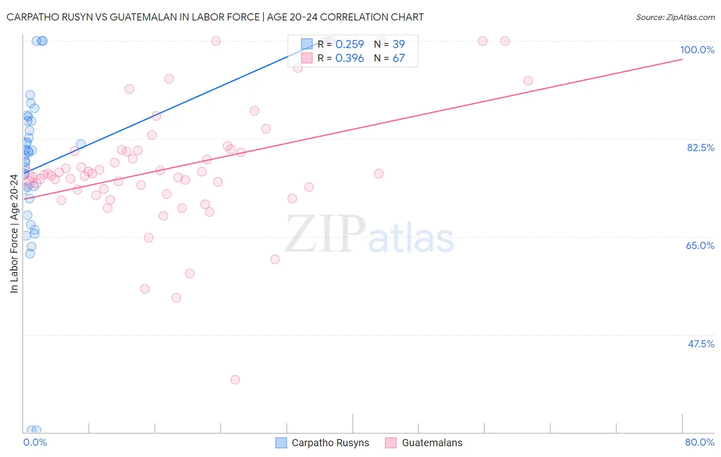 Carpatho Rusyn vs Guatemalan In Labor Force | Age 20-24