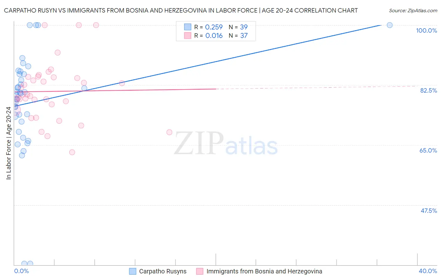 Carpatho Rusyn vs Immigrants from Bosnia and Herzegovina In Labor Force | Age 20-24