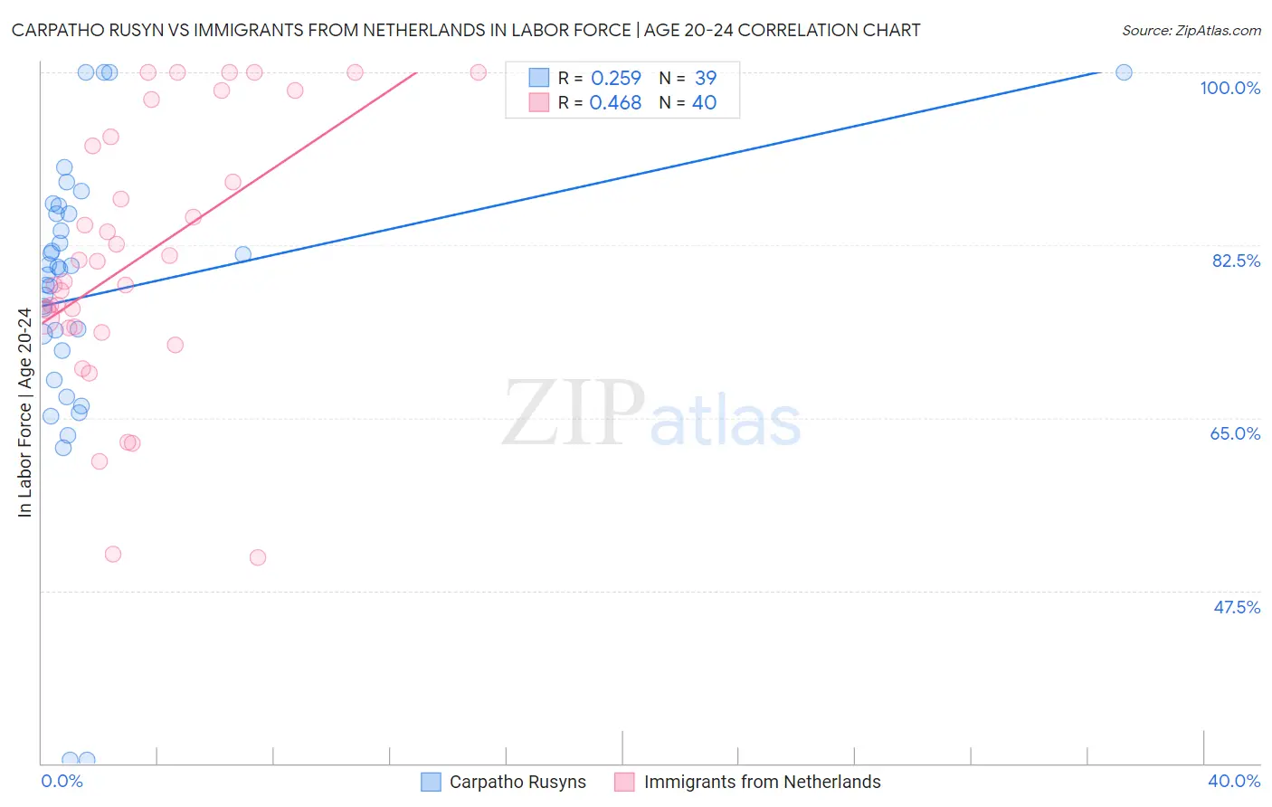 Carpatho Rusyn vs Immigrants from Netherlands In Labor Force | Age 20-24