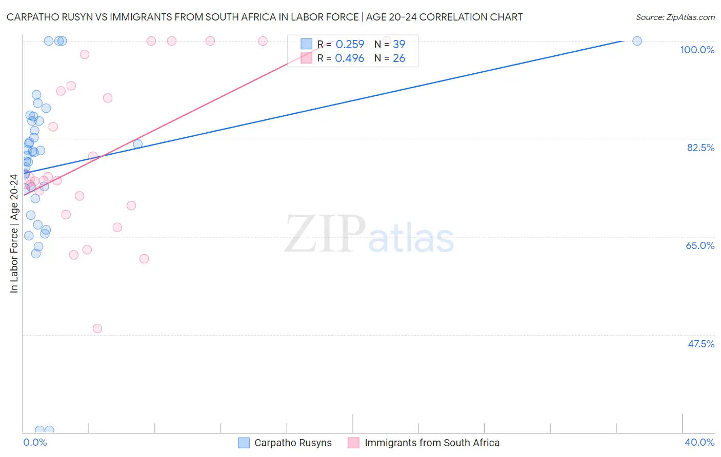 Carpatho Rusyn vs Immigrants from South Africa In Labor Force | Age 20-24