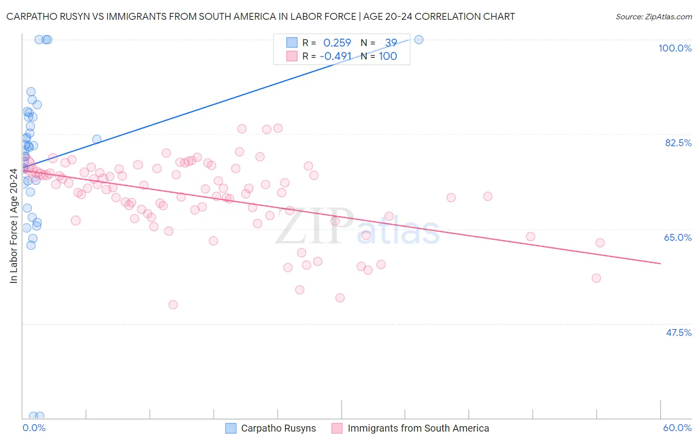 Carpatho Rusyn vs Immigrants from South America In Labor Force | Age 20-24