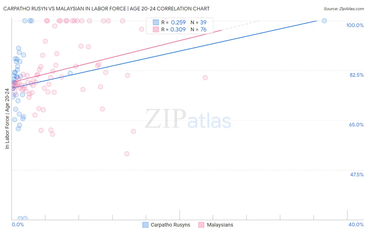 Carpatho Rusyn vs Malaysian In Labor Force | Age 20-24
