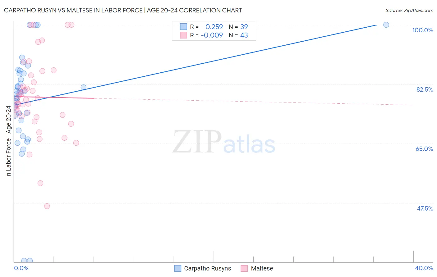 Carpatho Rusyn vs Maltese In Labor Force | Age 20-24