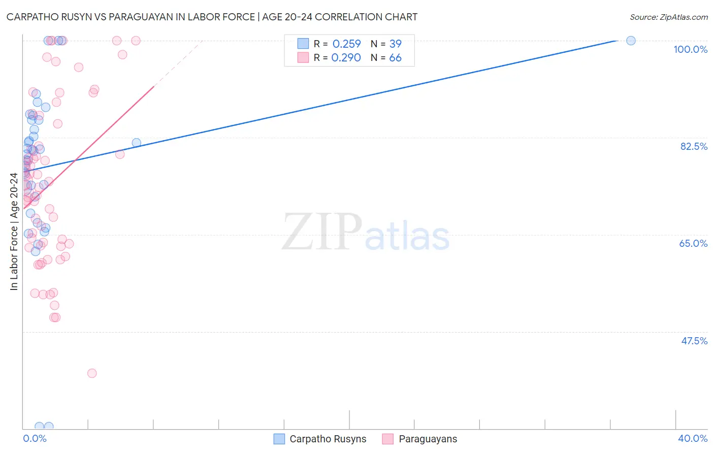 Carpatho Rusyn vs Paraguayan In Labor Force | Age 20-24