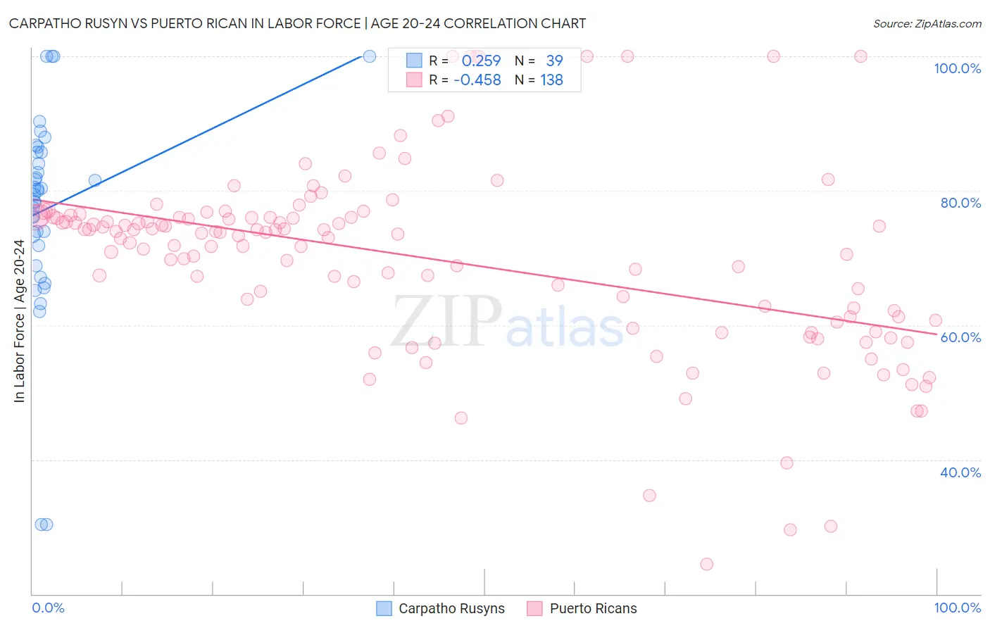 Carpatho Rusyn vs Puerto Rican In Labor Force | Age 20-24