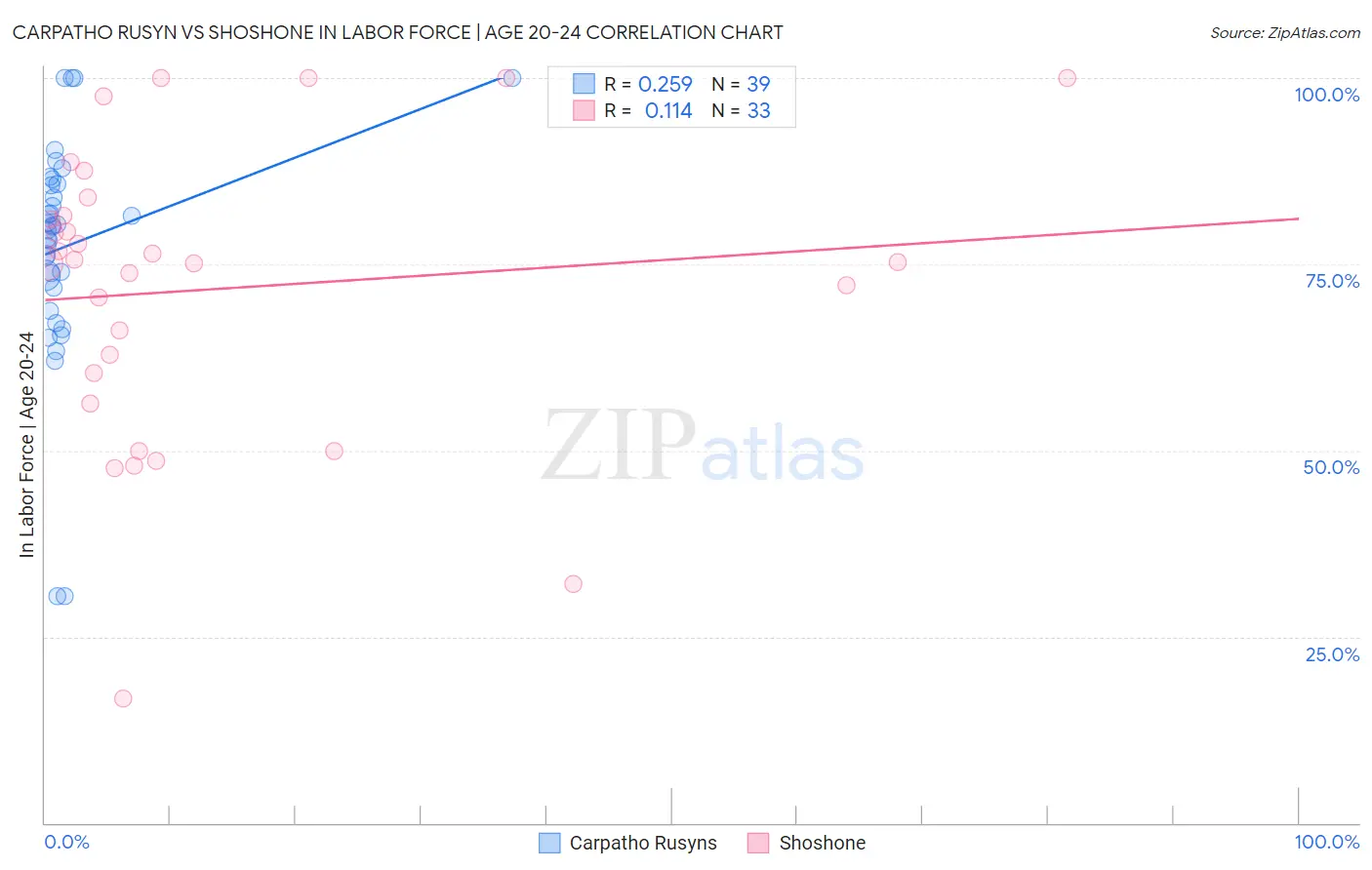 Carpatho Rusyn vs Shoshone In Labor Force | Age 20-24