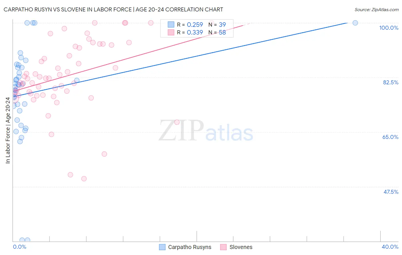 Carpatho Rusyn vs Slovene In Labor Force | Age 20-24