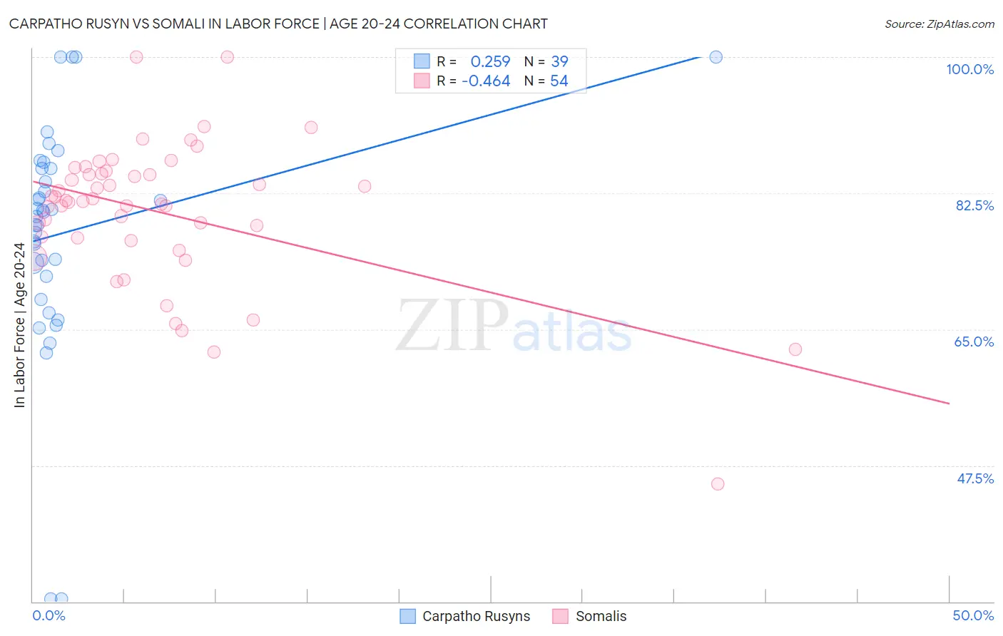 Carpatho Rusyn vs Somali In Labor Force | Age 20-24