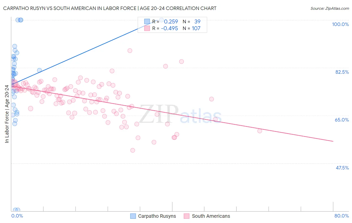 Carpatho Rusyn vs South American In Labor Force | Age 20-24