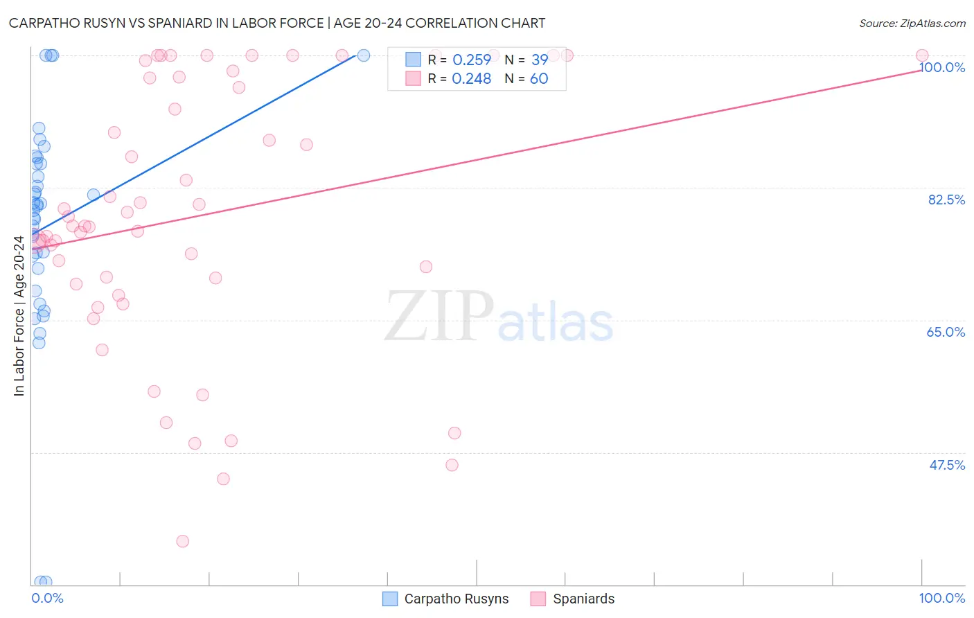 Carpatho Rusyn vs Spaniard In Labor Force | Age 20-24