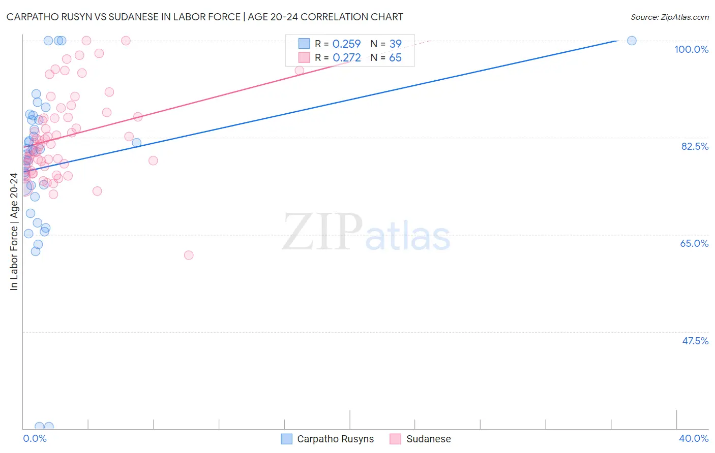 Carpatho Rusyn vs Sudanese In Labor Force | Age 20-24