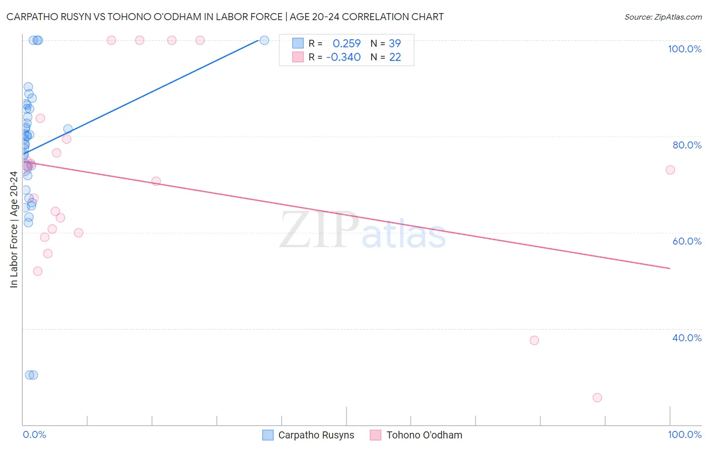 Carpatho Rusyn vs Tohono O'odham In Labor Force | Age 20-24