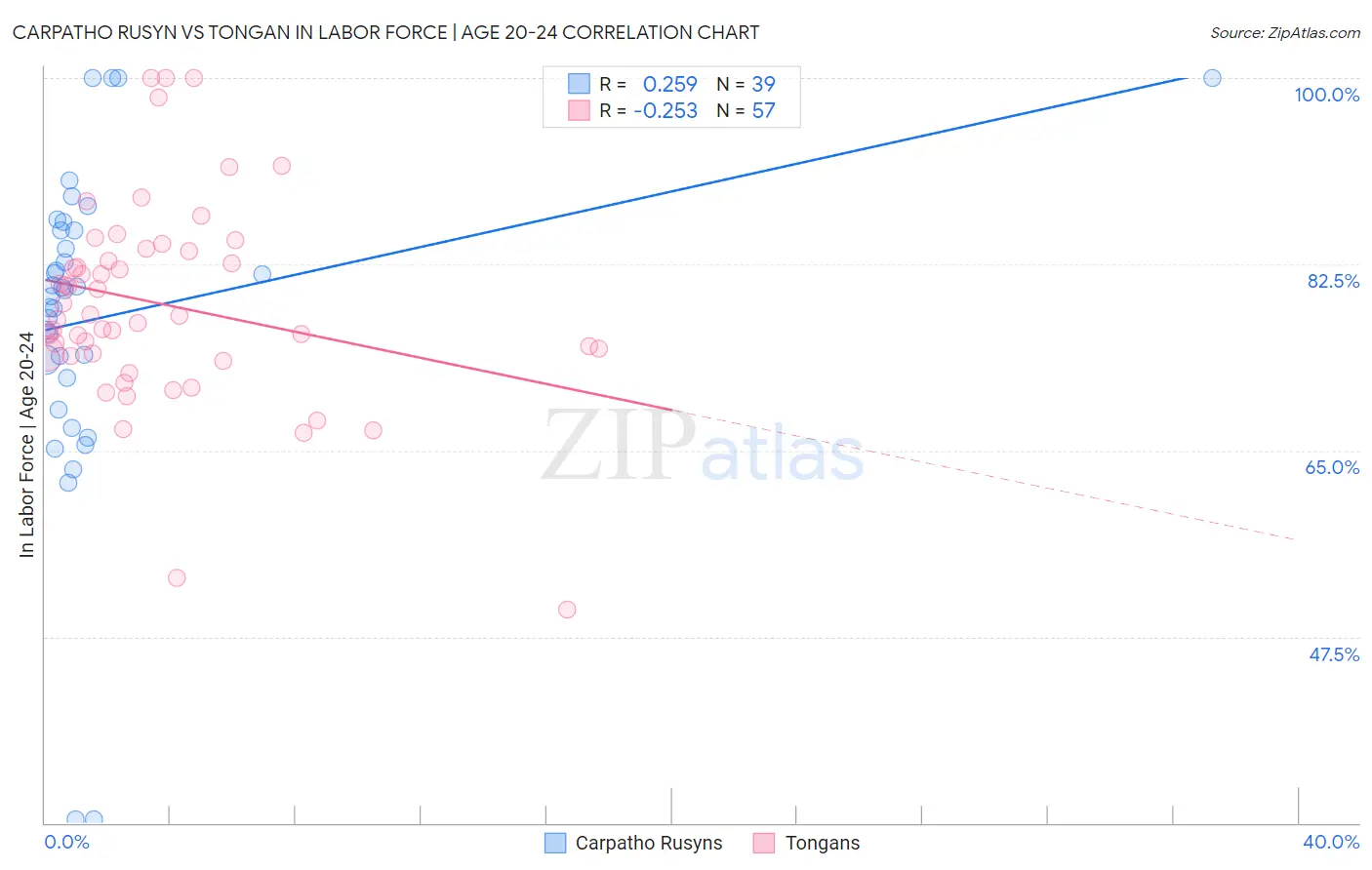 Carpatho Rusyn vs Tongan In Labor Force | Age 20-24