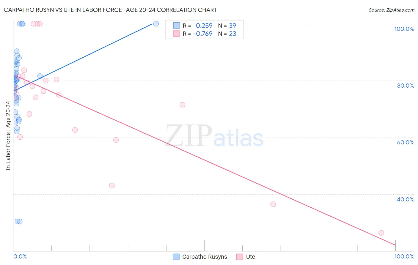 Carpatho Rusyn vs Ute In Labor Force | Age 20-24