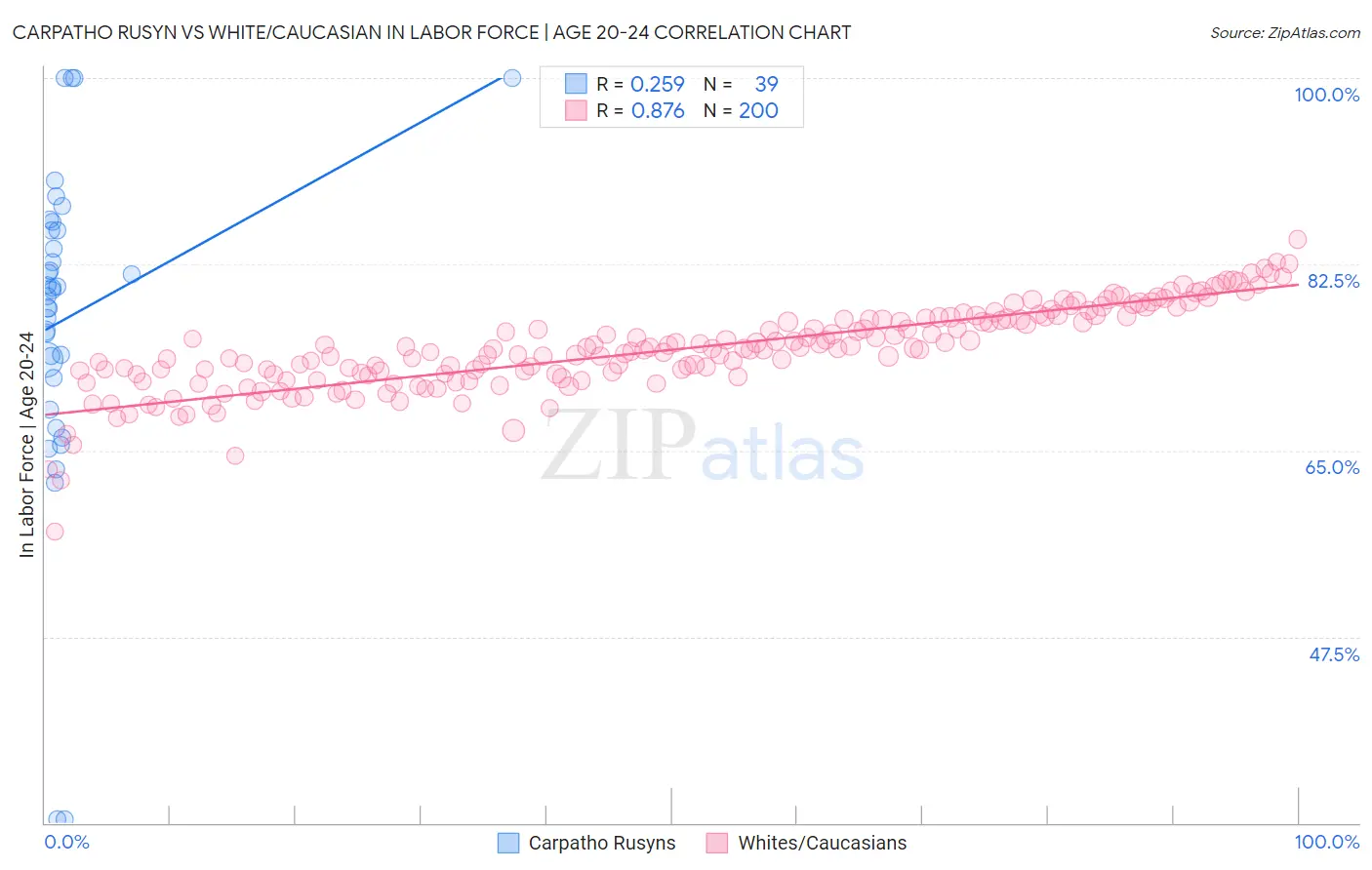 Carpatho Rusyn vs White/Caucasian In Labor Force | Age 20-24