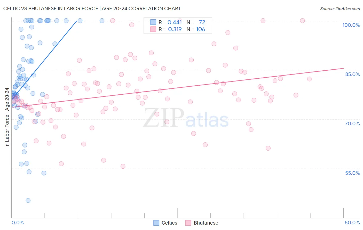 Celtic vs Bhutanese In Labor Force | Age 20-24