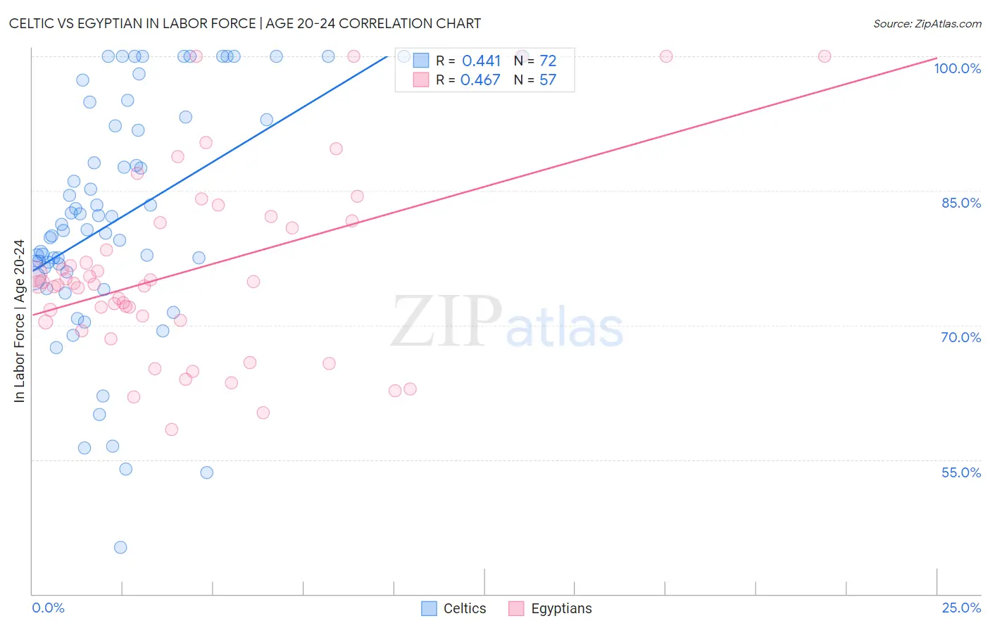 Celtic vs Egyptian In Labor Force | Age 20-24