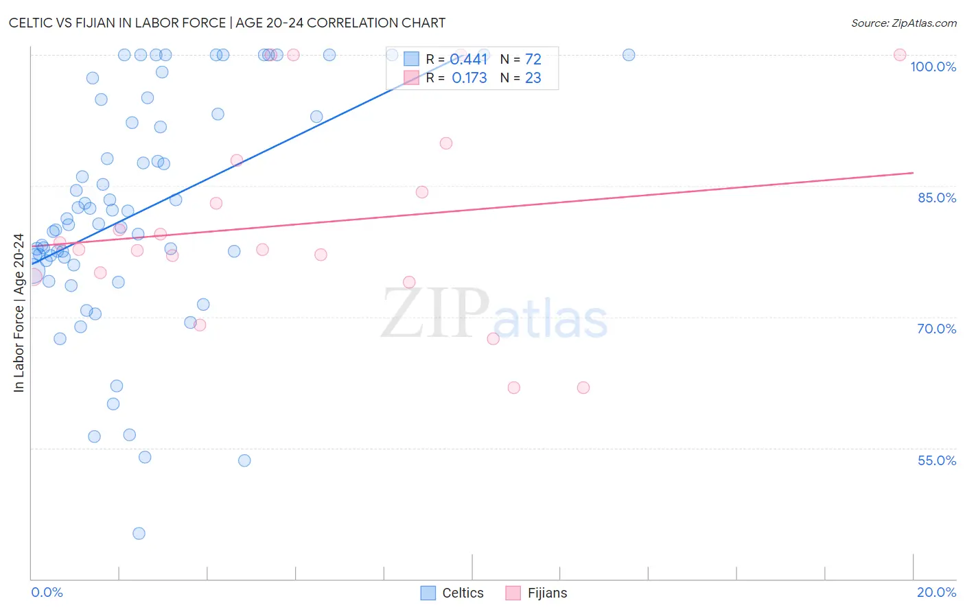 Celtic vs Fijian In Labor Force | Age 20-24