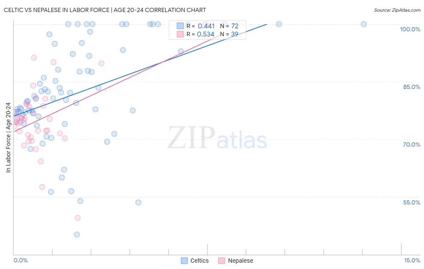 Celtic vs Nepalese In Labor Force | Age 20-24