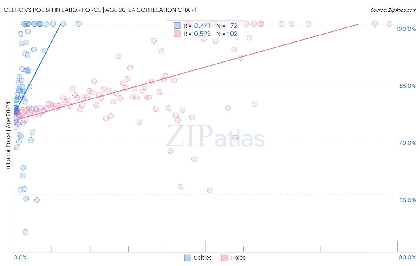 Celtic vs Polish In Labor Force | Age 20-24