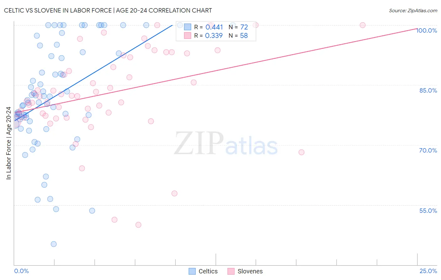 Celtic vs Slovene In Labor Force | Age 20-24