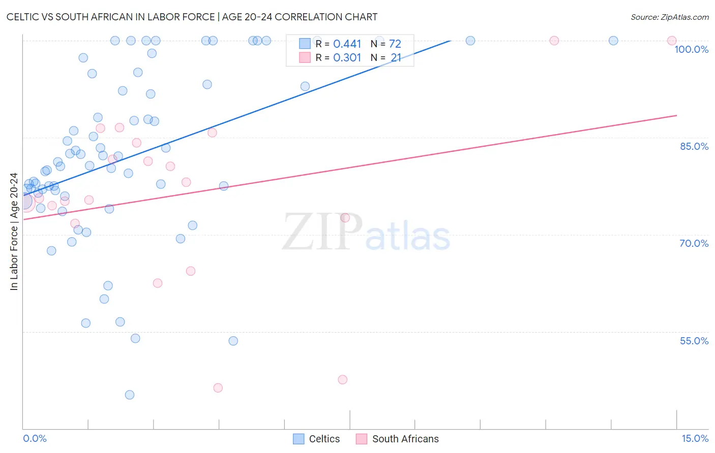 Celtic vs South African In Labor Force | Age 20-24