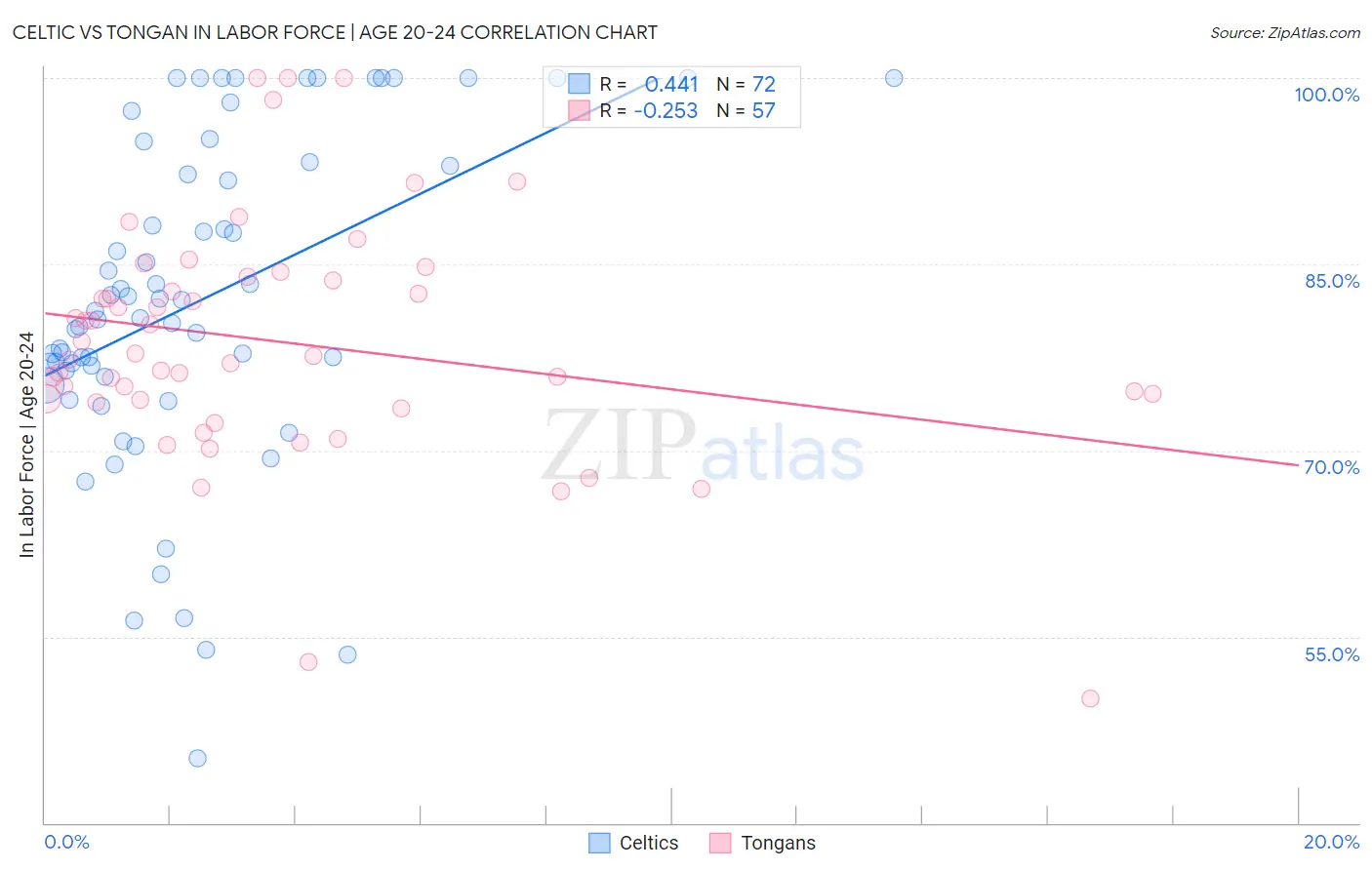 Celtic vs Tongan In Labor Force | Age 20-24