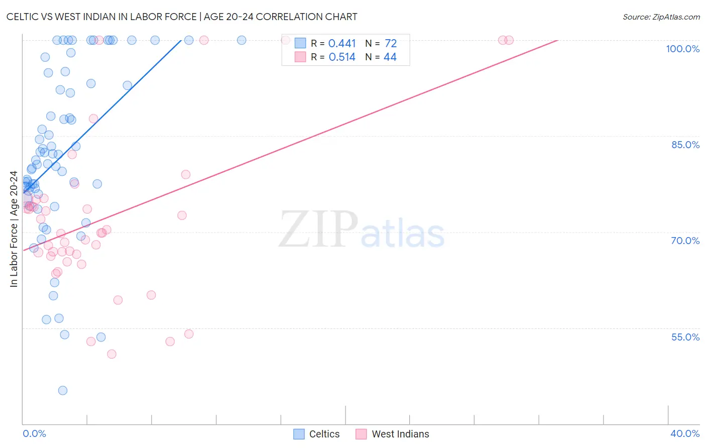 Celtic vs West Indian In Labor Force | Age 20-24