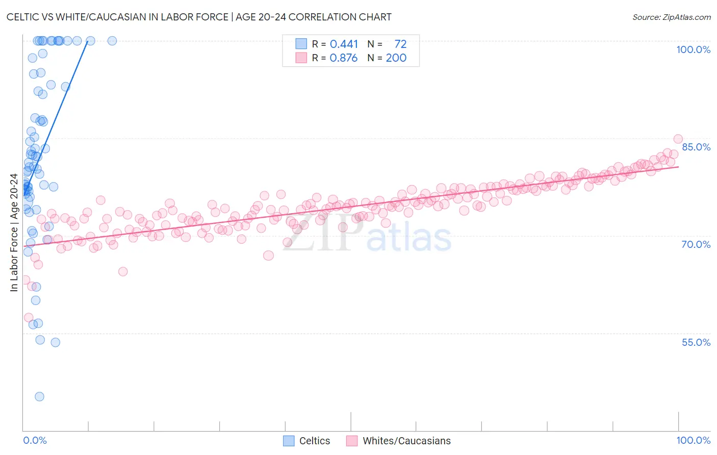 Celtic vs White/Caucasian In Labor Force | Age 20-24
