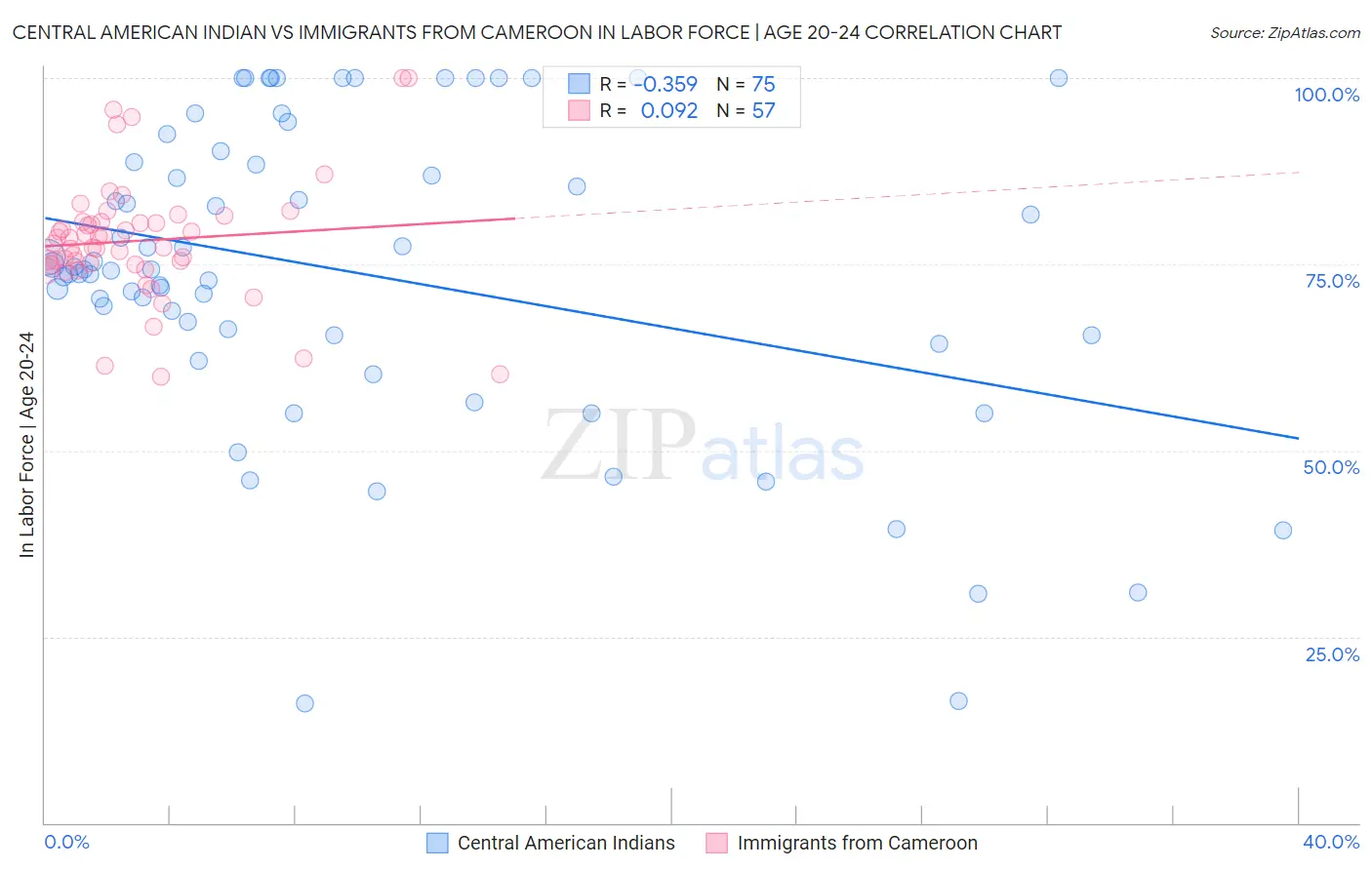 Central American Indian vs Immigrants from Cameroon In Labor Force | Age 20-24