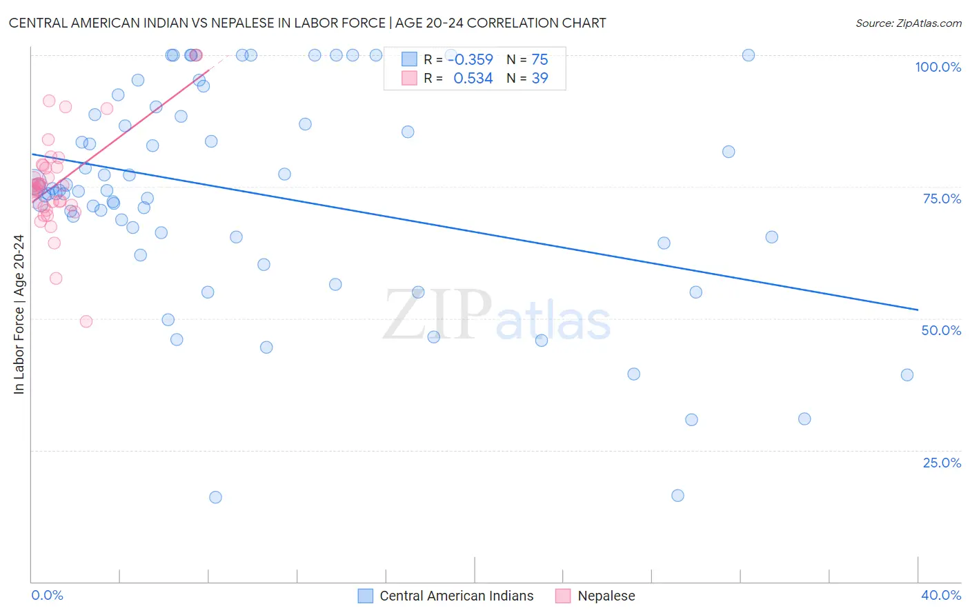 Central American Indian vs Nepalese In Labor Force | Age 20-24
