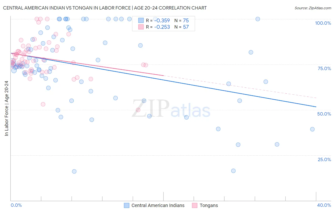 Central American Indian vs Tongan In Labor Force | Age 20-24
