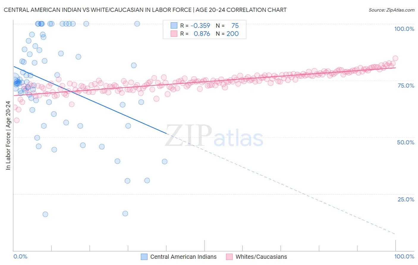 Central American Indian vs White/Caucasian In Labor Force | Age 20-24