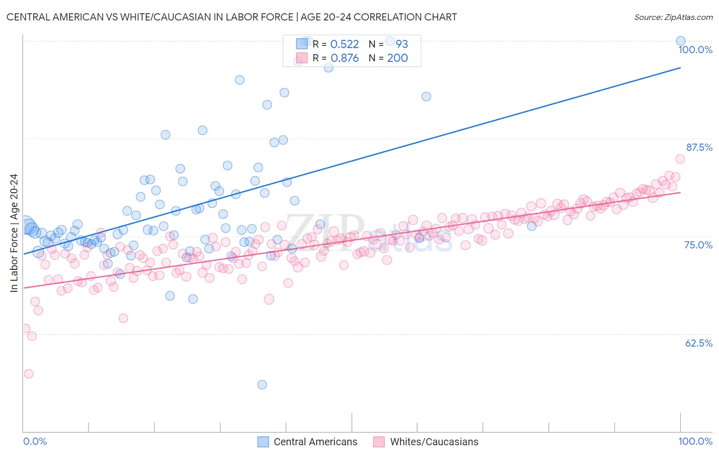 Central American vs White/Caucasian In Labor Force | Age 20-24
