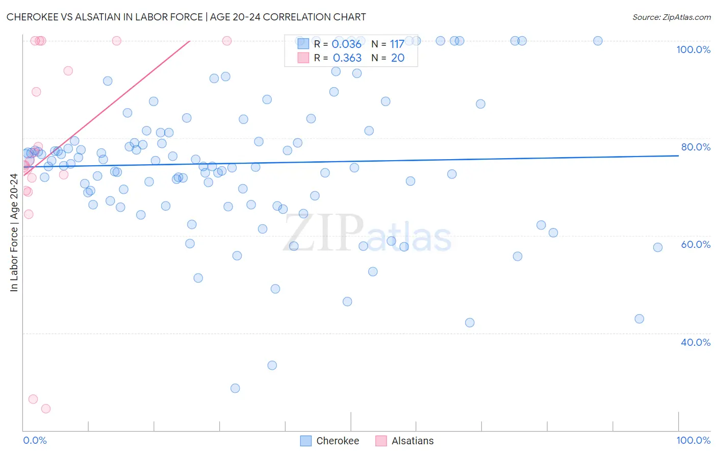 Cherokee vs Alsatian In Labor Force | Age 20-24