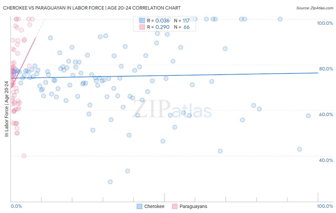 Cherokee vs Paraguayan In Labor Force | Age 20-24