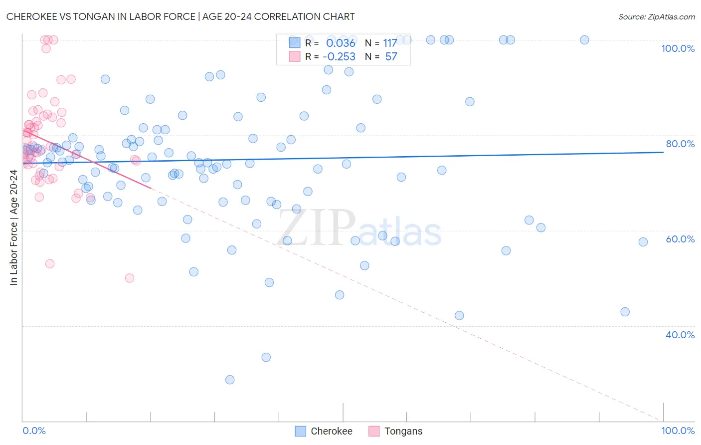Cherokee vs Tongan In Labor Force | Age 20-24