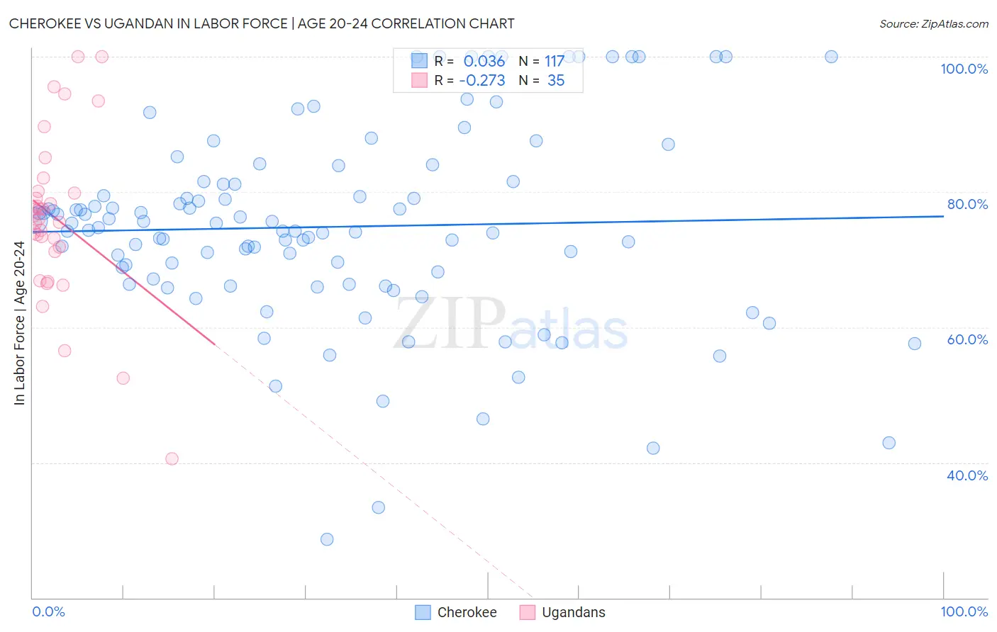 Cherokee vs Ugandan In Labor Force | Age 20-24