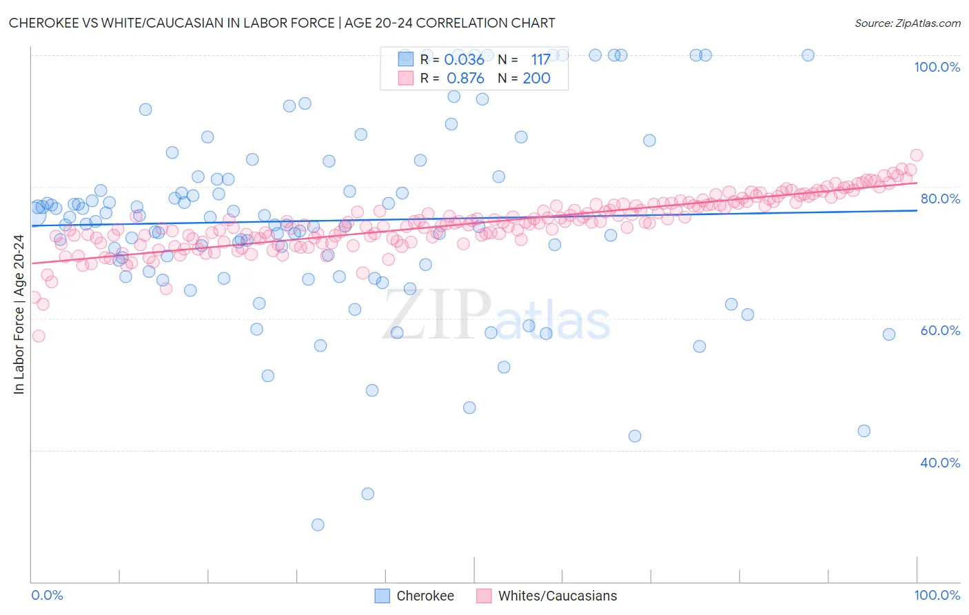 Cherokee vs White/Caucasian In Labor Force | Age 20-24