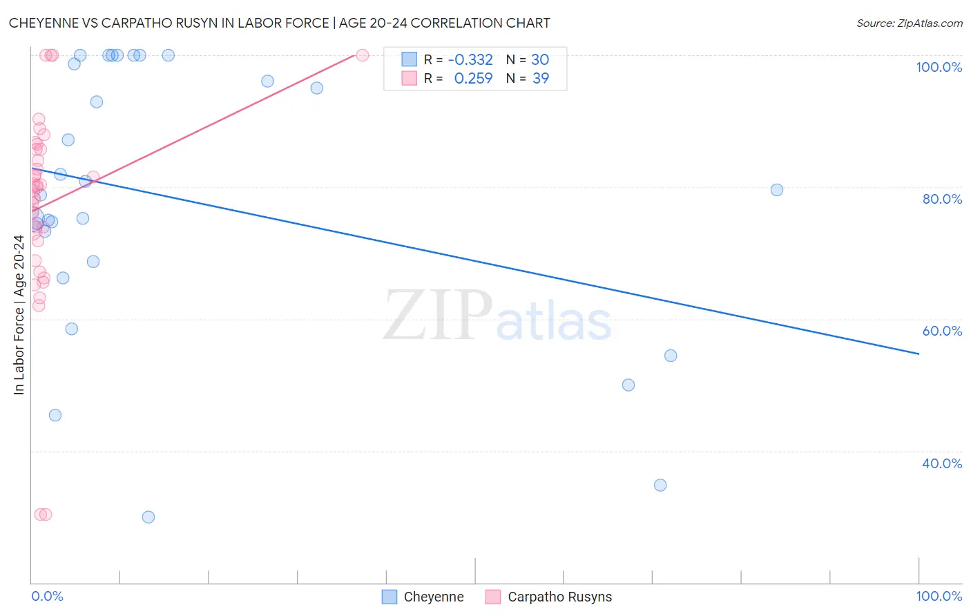 Cheyenne vs Carpatho Rusyn In Labor Force | Age 20-24