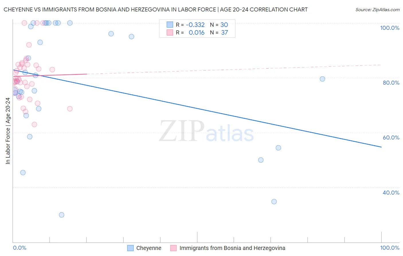 Cheyenne vs Immigrants from Bosnia and Herzegovina In Labor Force | Age 20-24